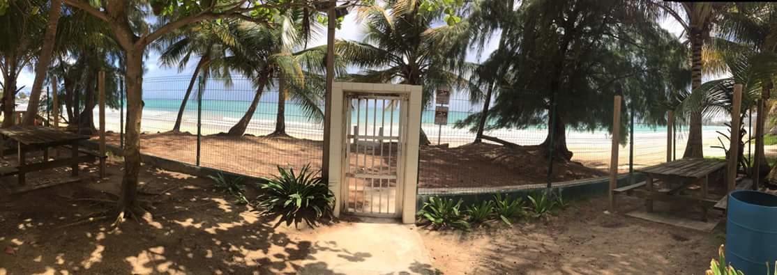 Beach Front Apt Isla Verde 2 Appartement San Juan Buitenkant foto